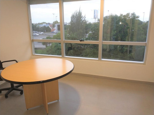 Imagen 8 de 16 de Edificio Comercial A Estrenar 12 Ambientes, Cocheras, Detalles De Categoría.