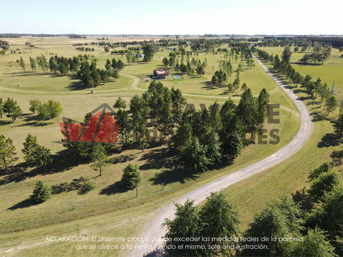 Imagen 9 de 12 de Terreno - Club De Campo Las Hojas