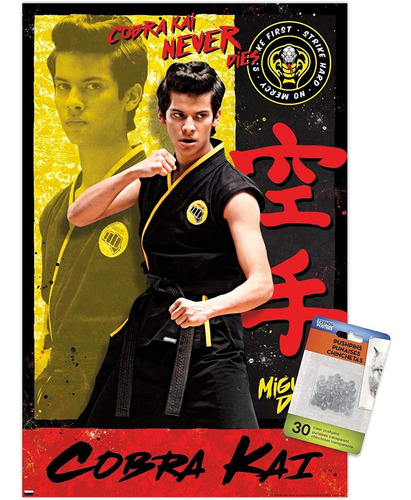 Cobra Kai - Póster De Pared Con Alfileres De Miguel