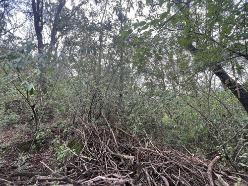 Vendo Terreno Plano Espíritu Santo, Colinda Con Río Cod. Vte764
