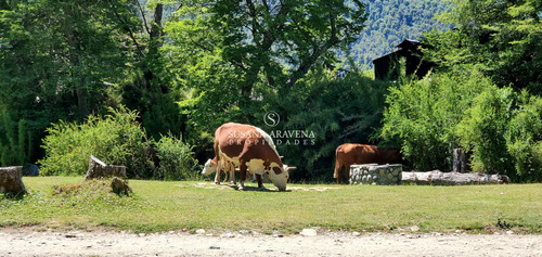 Susana Aravena Propiedades- Lote En Venta Con Proyecto Aprobado En Chapelco Golf
