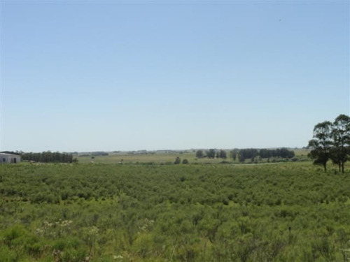 Quinta En Venta En Las Cañas