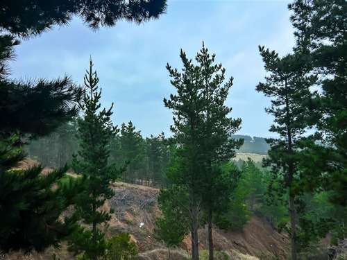 Sitio En Venta En Boyeruca, Loteo Alto Boyeruca