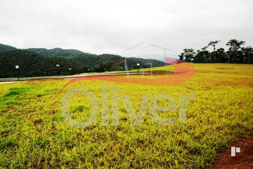 Imagem 4 de 8 de Terreno A Venda Em Brusque - Te00004 - 32328087