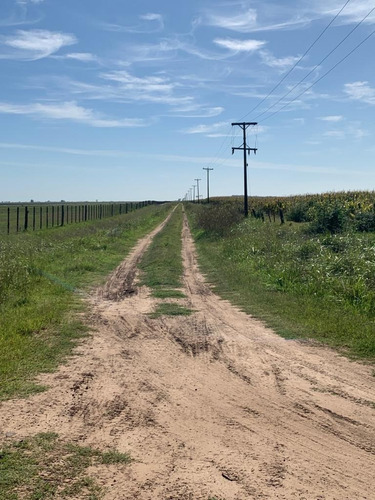Imagen 3 de 6 de Vendo Campo 30ha/ Bermúdez (pdo. De Lincoln)