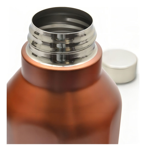 Garrafa Squeeze De Inox Colors C/ Tampa 750ml