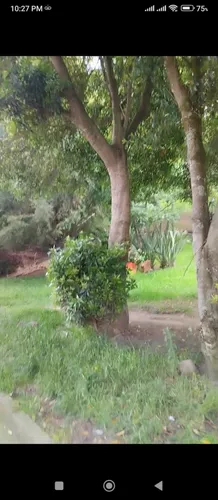 Unico Y Exclusivo Lote En Conjunto Cerrado