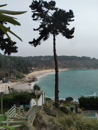 Imagen 2 de 19 de Condominio Pinares Del Canelillo, Algarrobo.