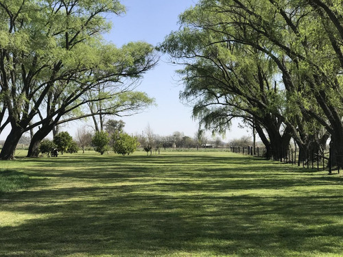 Imagen 6 de 30 de Venta Campo 19has Torres Lujan