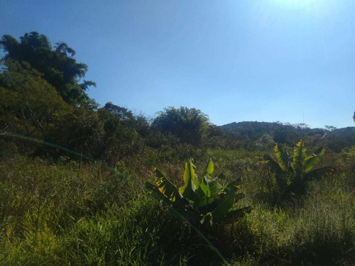 Imagem 5 de 7 de Terreno Na Beira Do Asfalto Em Ótima Localização