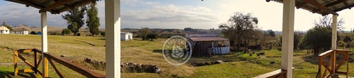 Imagen 8 de 30 de Las Anacahuitas En Lavalleja