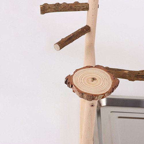 Juego De Columpios, Jaula De Loros, Juguete, Columpio, Parqu