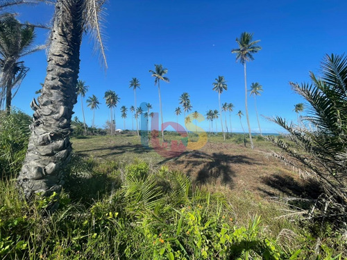 Imagem 3 de 5 de Lote No Syrihiba Ii Próximo A Praia Em Águas De Olivença - 7555