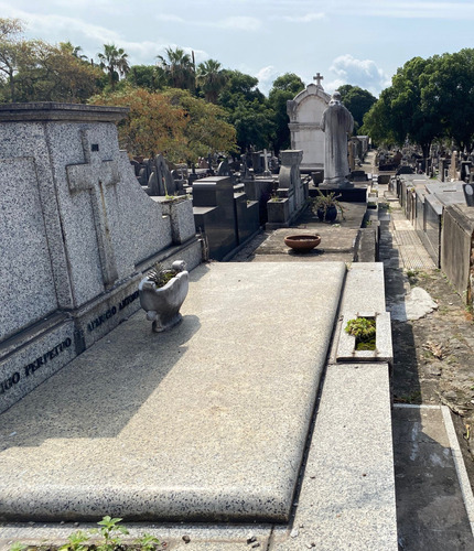 Jazigo Excelente Localização Quadra 7 São Francisco Xavier - Caju