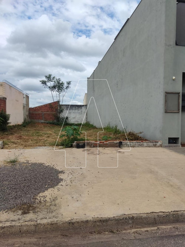 Imagem 4 de 4 de Terrenos - Ref: V87632