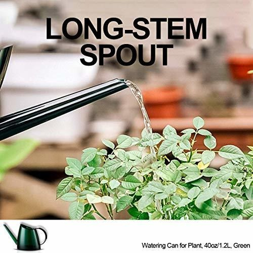 Ballena Vida Interior Regadera Para Casa Bonsai Plantas Jard