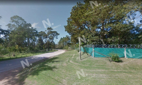 Imagen 2 de 3 de Terreno De Gran Superficie En Zona Habitada Todo El Año. - Punta Del Este Golf