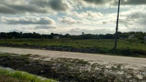 Imagem 4 de 9 de Vendo Terreno De Frente Para A Rodovia | Itanhaém - 6248 Npc