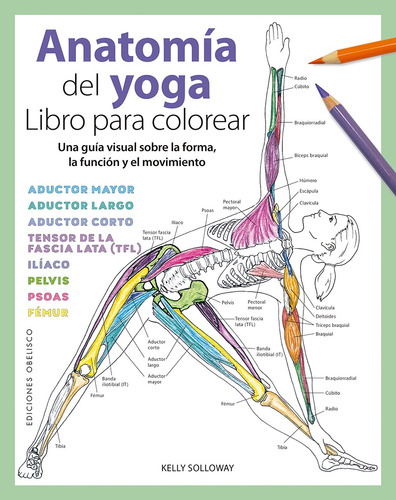Anatomía del yoga. Libro para colorear: Una guía visual sobre la forma, la función y el movimiento, de Solloway, Kelly. Editorial Ediciones Obelisco, tapa blanda en español, 2021