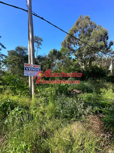 Venta De Terreno En Punta Del Este