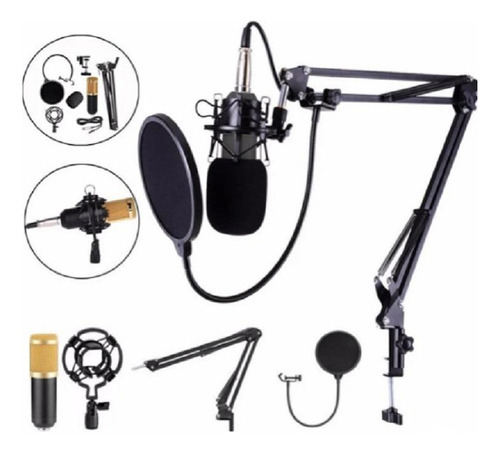Kit Estúdio Profissional Microfone Condensador E Shock Mount