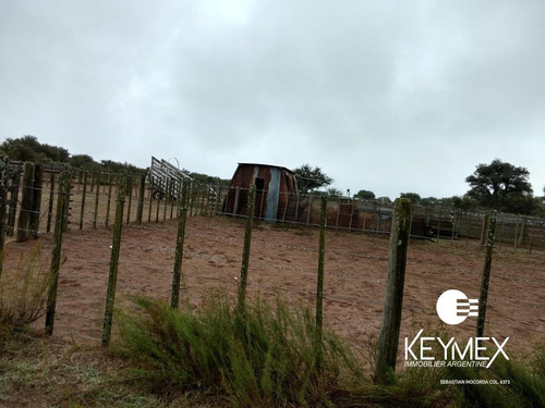 Imagen 7 de 10 de Campo Ganadero - Nueva Galia - Dupuy - San Luis