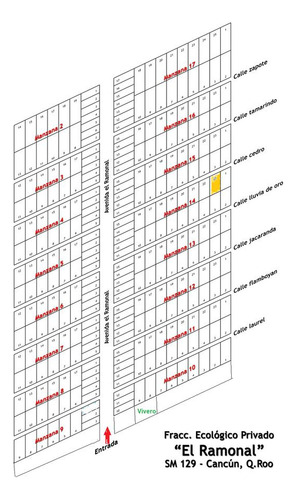 Lote De Terreno Ecológico, Venta De 3,000 M2, Fracc. El Ramonal, Carretera Cancún-mérida