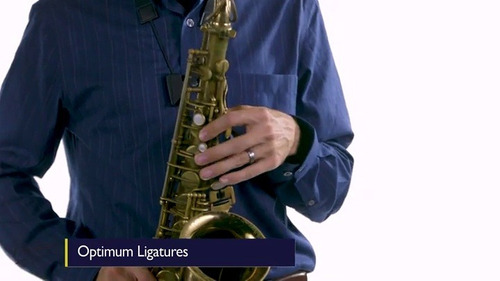 Caja de 10 cañas zz n.2 para saxofón alto Vandoren SR412 