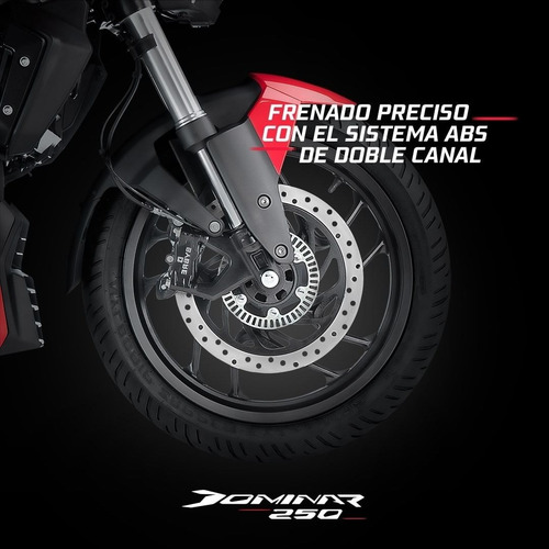 Imagen 9 de 9 de Bajaj Dominar 250 - 0 Km - Dominar 250