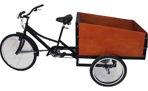 Triciclo Transporte Niños