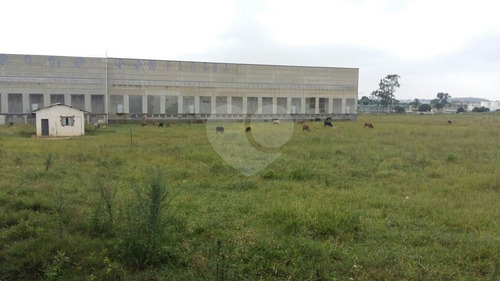 Imagem 10 de 20 de Terreno De 8.500 Metros Quadrados, Junto Ao Aeroporto De Cumbica - Guarulhos - Sp, - Reo305915