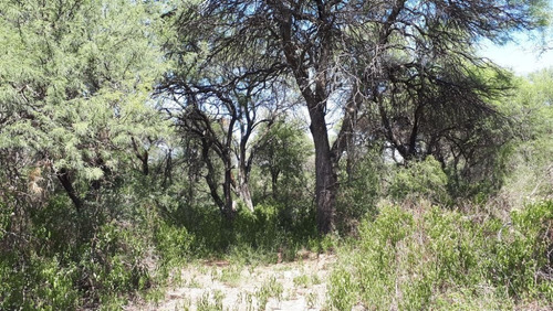 Imagen 9 de 14 de Vendo Lotes De 1000-1500 M² En El Rincón - San Marcos Sierra