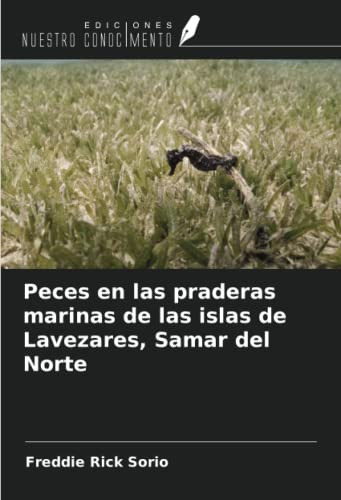 Peces En Las Praderas Marinas De Las Islas De Lavezares, Sam
