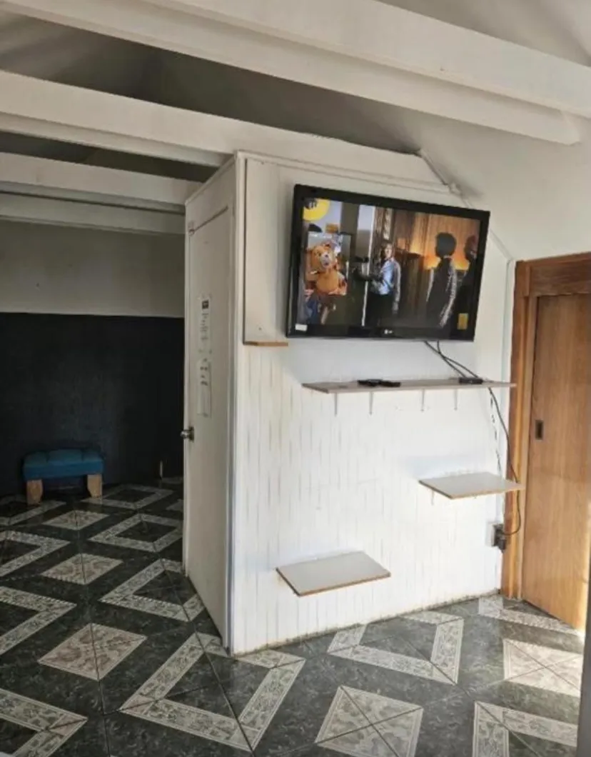 Imagen 5 de 20 de Arriendo Casa Comercial O Habitacional 6 Dor Viña Del Mar