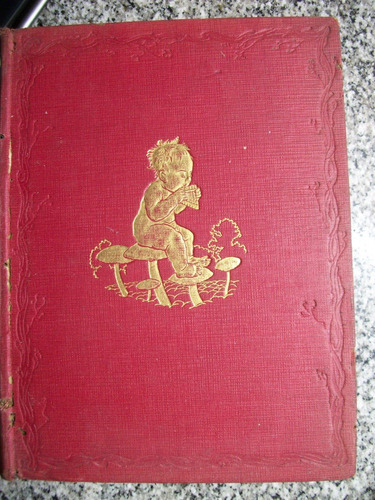 Peter Pan In Kensington Gardens J M Barrie Illustrated B C17