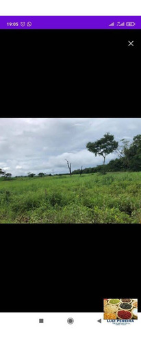 Imagem 6 de 10 de Fazenda À Venda Em Dois Irmãos - To - De 124 Alqueirões (dupla Aptidão) - 1627