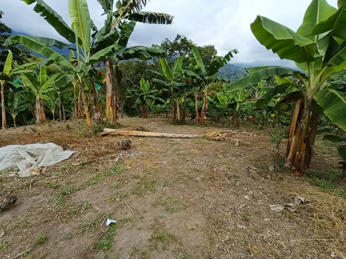 Se Vende Finca Quebradanegra Calarcá Quindío