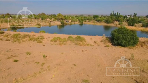 Imagen 2 de 6 de Campo En Venta - Finca Productiva En Mendoza