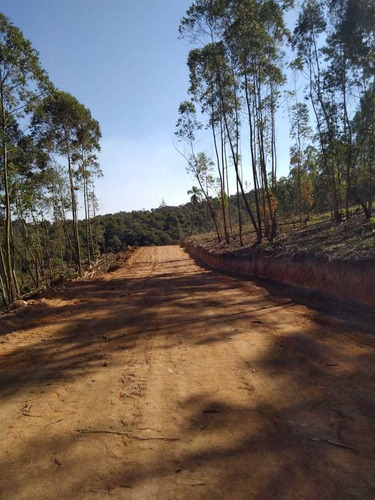 Imagem 4 de 7 de Aqui Tem Terrenos Ótimos, 1000m² De Área Útil