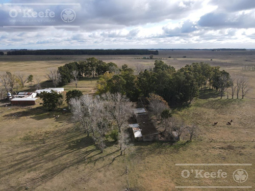 Imagen 18 de 26 de 100 Has En Punta Indio - Excelente Acceso - Ideal Haras!