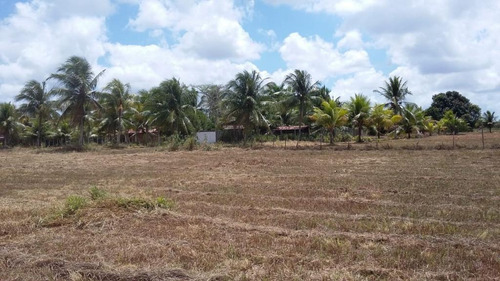 Imagem 26 de 30 de Chácara Com 3 Dormitórios À Venda, 58105 M² Por R$ 900.000,00 - Mendes - São José De Mipibu/rn - Ch0009