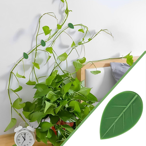 Soportes Para Plantas Trepadoras Clips Para Plantas Trepador