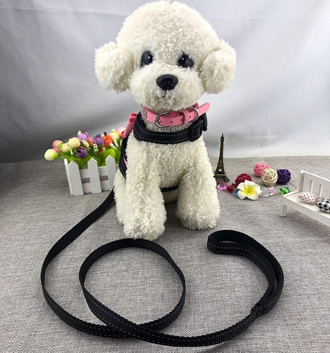 Newtensina 3 Piezas Pajaritas Bling Lindo Arnés Para Perro Y