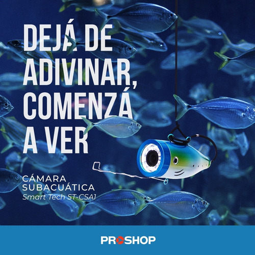 Camara Pesca Buscador Peces Monitor Lcd Bateria Recargable