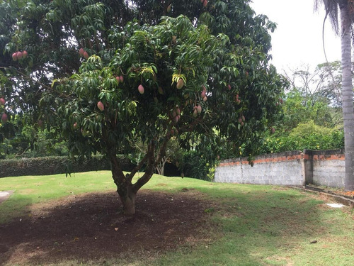 Imagem 5 de 15 de Chácara Para Venda Em Bragança Paulista, Chácara Alvorada, 4 Dormitórios, 2 Suítes, 4 Banheiros, 2 Vagas - 417_2-1218754