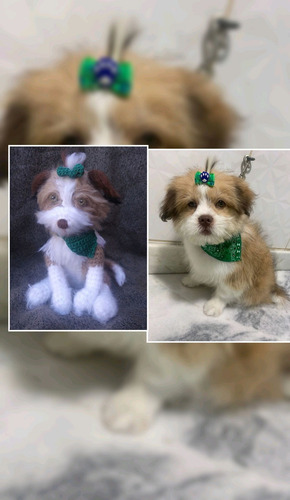 Imagem 3 de 9 de Cachorro Miniatura Raça Personalizado Croche Amigurumi Pet
