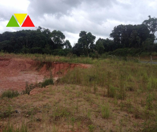 Imagem 4 de 11 de Área Industrial À Venda, Costeira, Araucária. - Ar00013 - 34982649