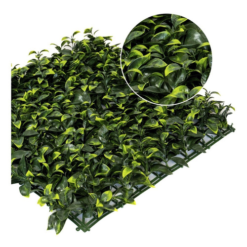 Imagen 1 de 7 de Jardin Vertical Artificial Verde Panel Miami 50x50