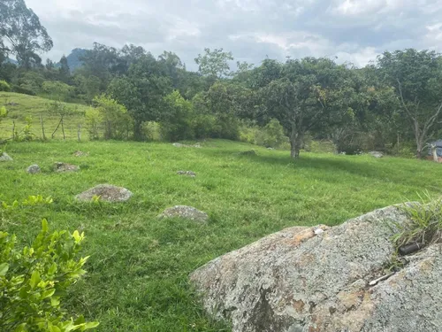 Lote En Venta En El Rosario. Cod V16286