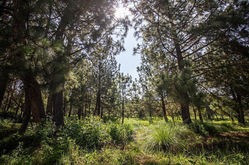 Terreno En Venta En Real De Encinos, Tapalpa, Jalisco.
